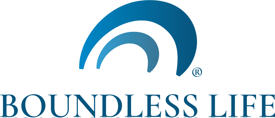 Boundless CRM DEV